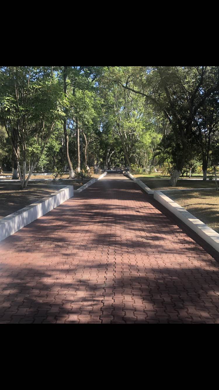 walking near me in Plaza Principal in winter