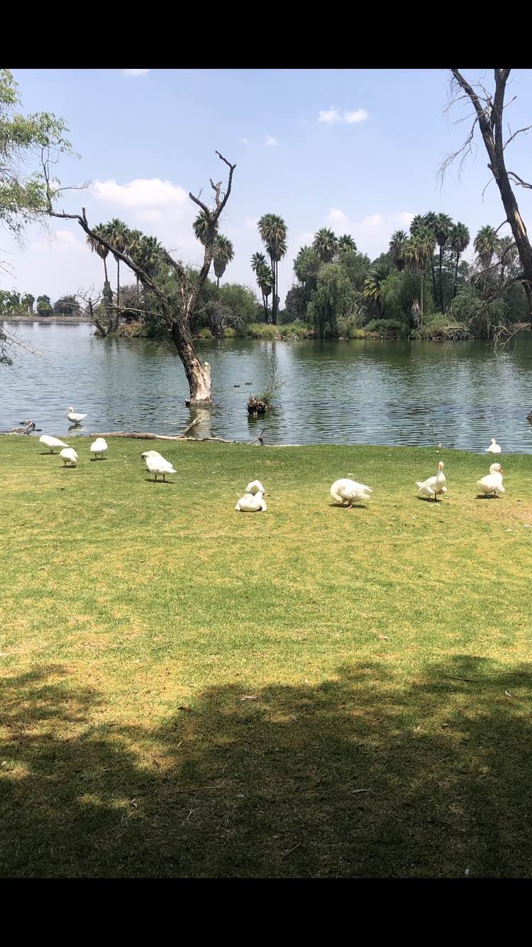 walking near me in Parque Cultural & Recreativo el Cedazo in winter