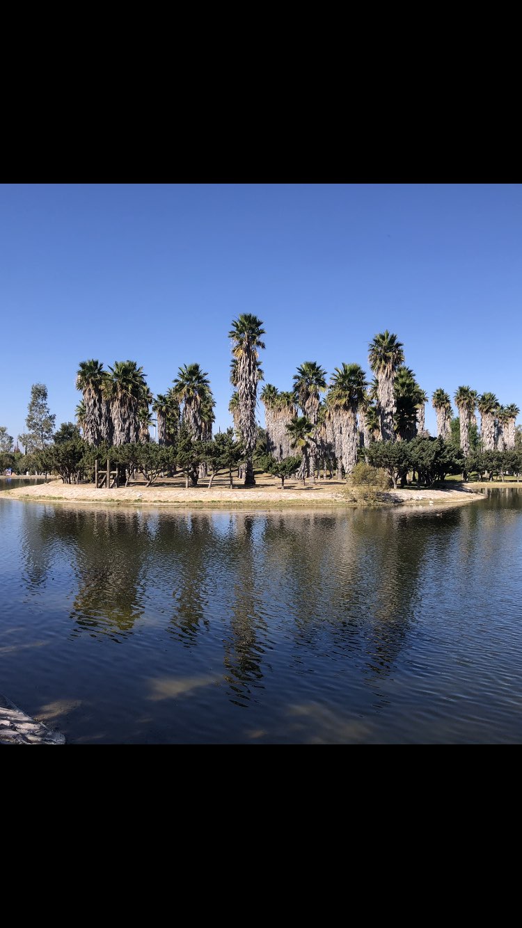 walking near me in Rodolfo Landeros Gallegos Park in winter