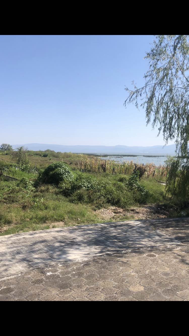 walking near me in Malecon San Antonio in winter