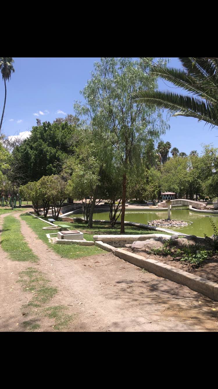walking near me in Parque Urbano Línea Verde in winter