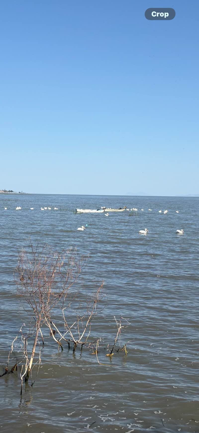 walking near me in Malecon San Antonio in spring