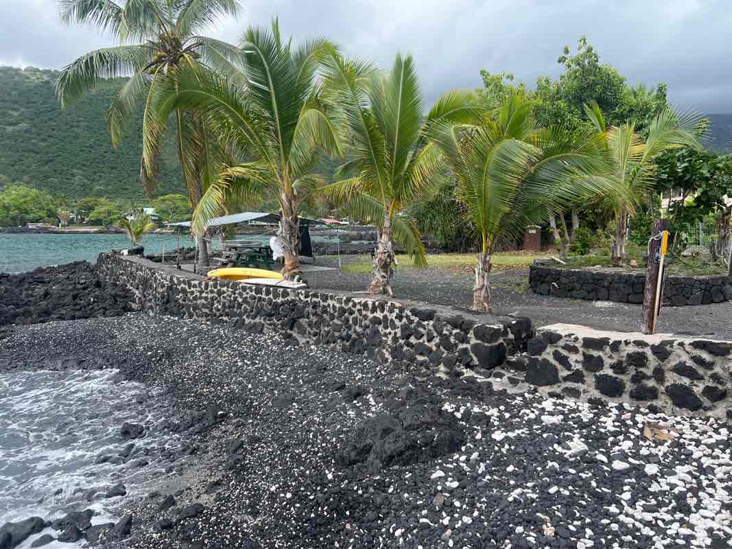 walking near me in Napoopoo Park in spring