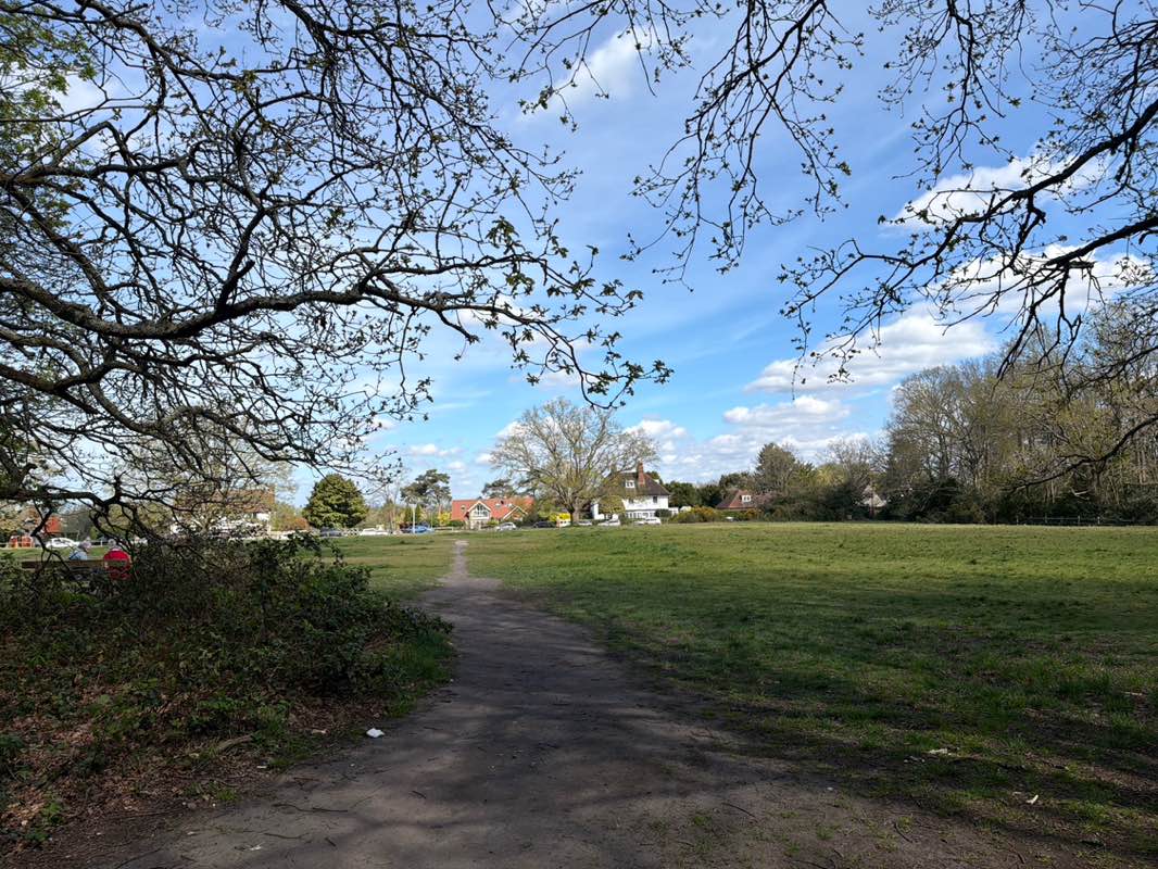 walking near me in Hayes Common in spring