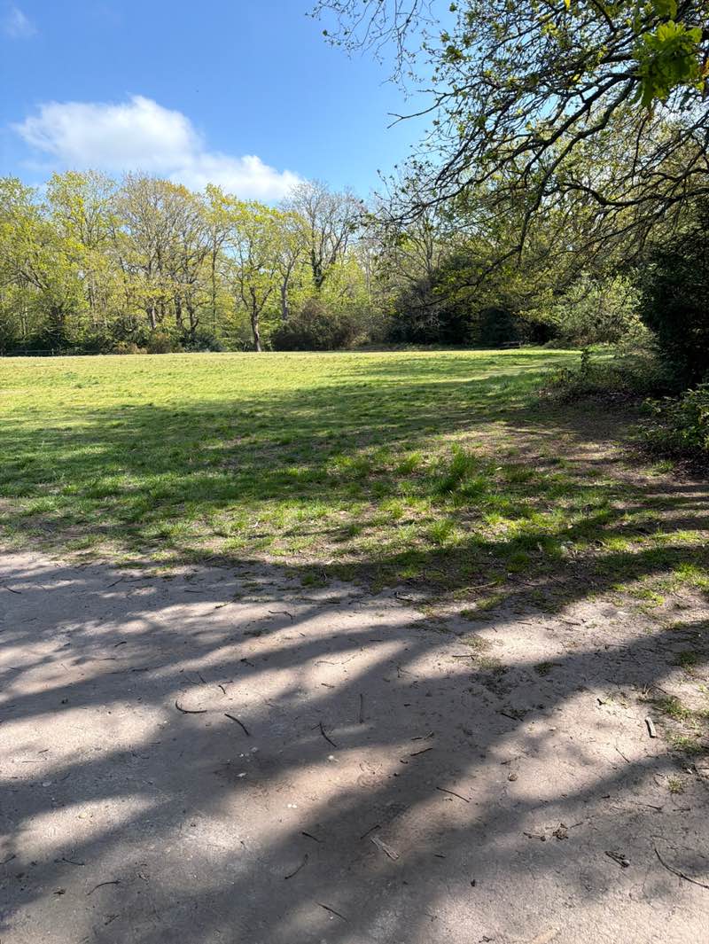 walking near me in Hayes Common in spring