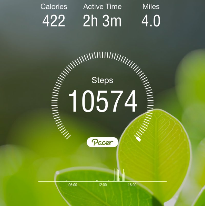 PacerGal_1966 post 1