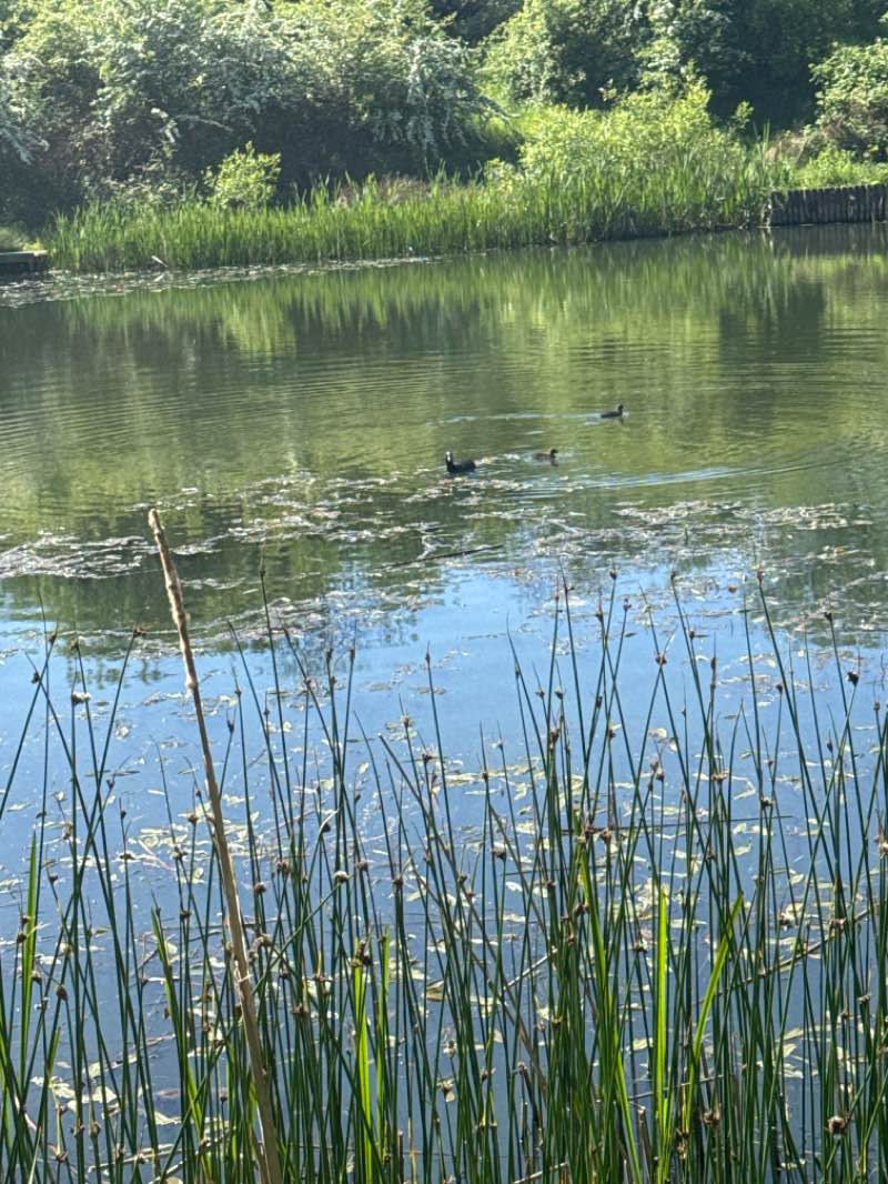 walking near me in North Lodge Park in spring