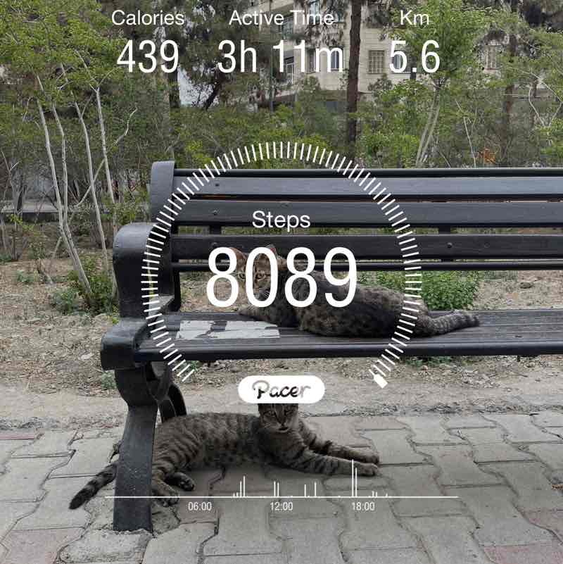 🏃🏻‍♀️‍➡️سفر سلامت🌿 GolinaZ☺️ post image