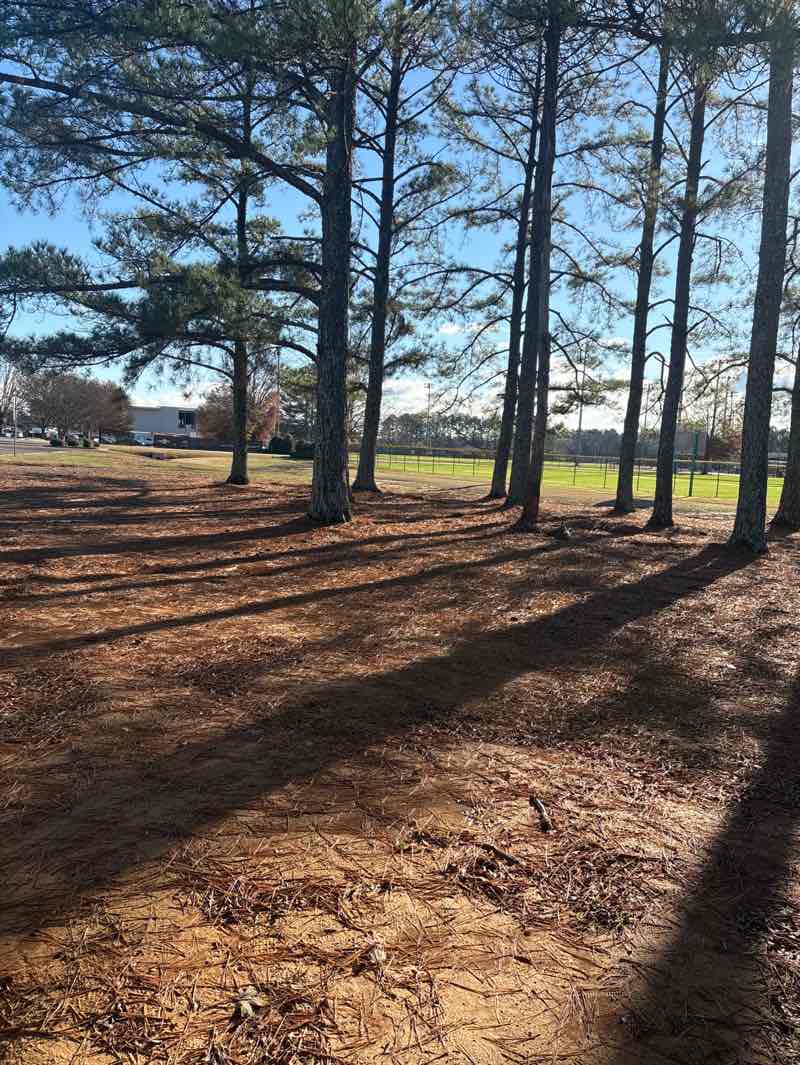 walking near me in Wilson Morgan Park in autumn