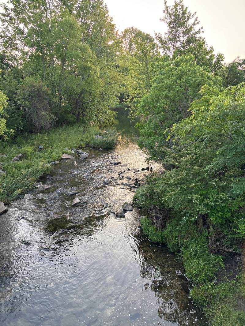 walking near me in Adventure Park in spring