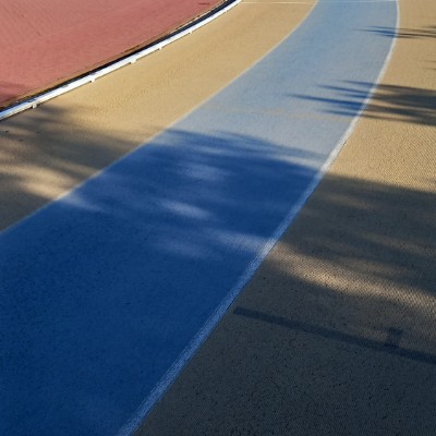 Camminare a Latina Sara owl🦉 post image