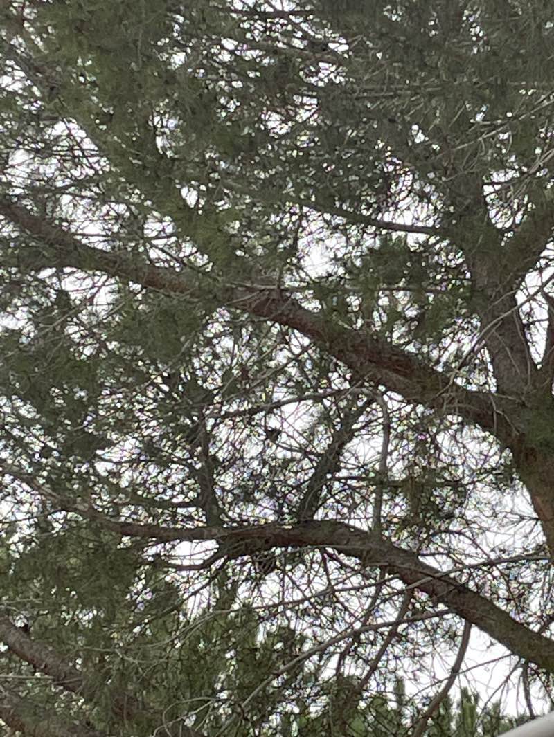 walking near me in גן מכור in spring