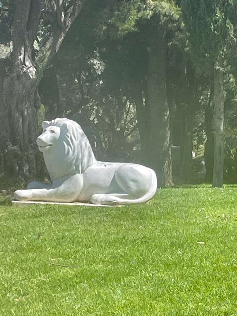 walking near me in Bloomfield Park in spring