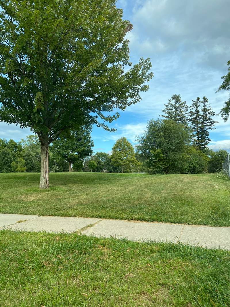 walking near me in Lawton Park in autumn