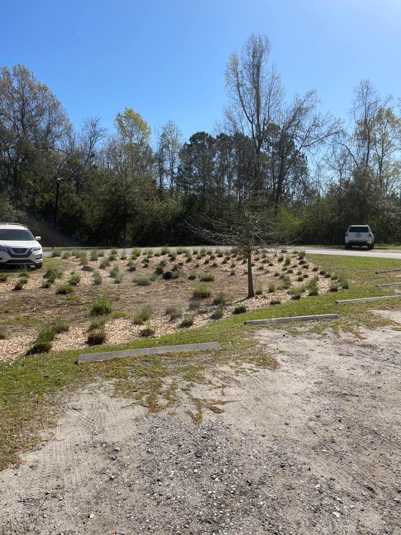 walking near me in Stono River County Park in spring