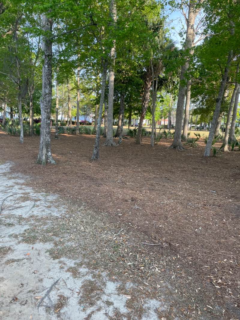 walking near me in Carolina Bay Park in spring