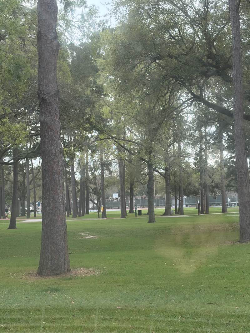 walking near me in Stevenson Park in spring