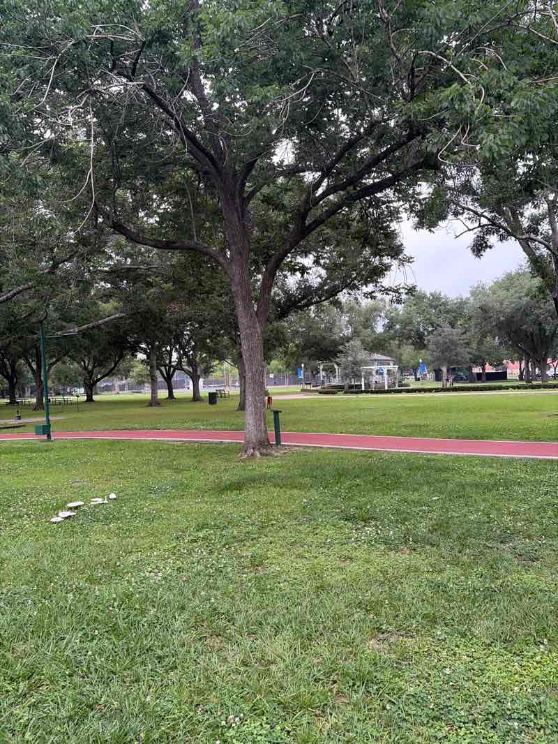 walking near me in Stevenson Park in spring