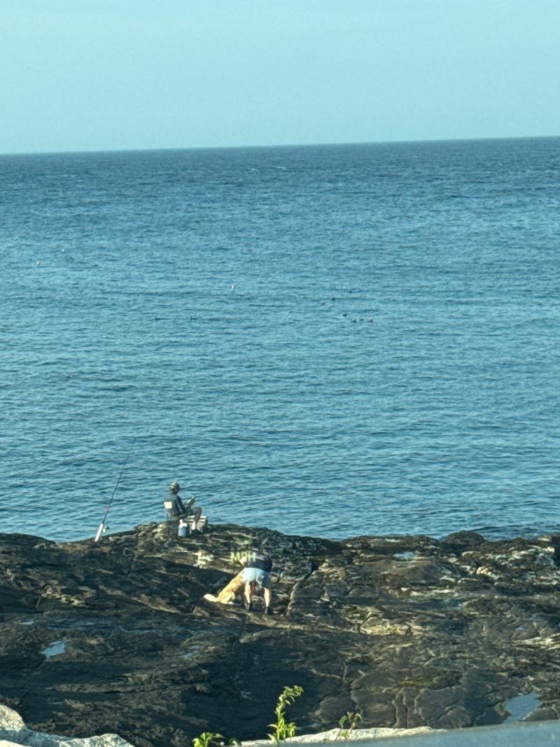 walking near me in Sohier Park in autumn