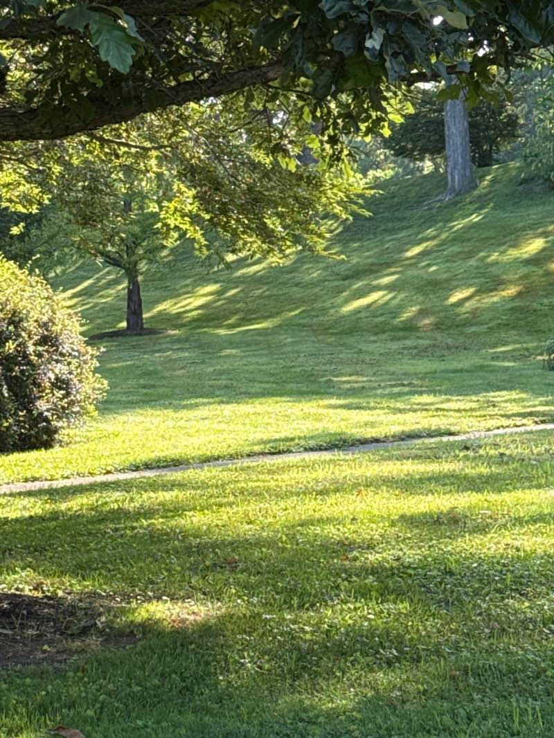 walking near me in Landsman Kill Park in autumn
