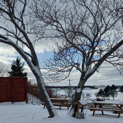 ValenTyna 🇺🇦 post 3