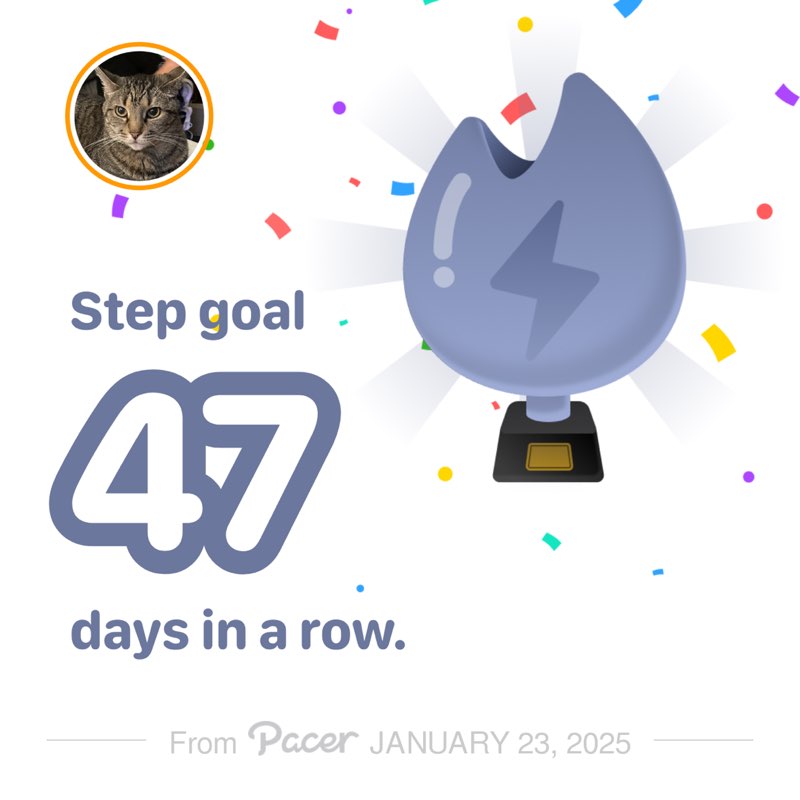 Smarty Cat 🐾🐾🐈‍⬛🇺🇸🇮🇹 post 1