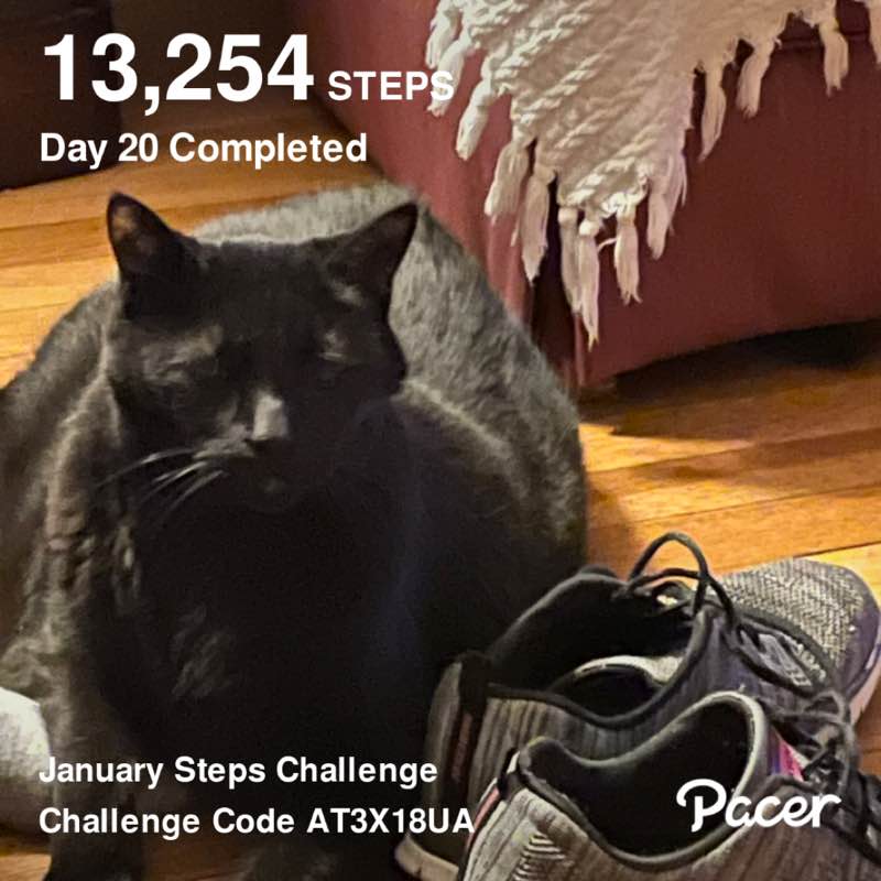 Smarty Cat 🐾🐾🐈‍⬛🇺🇸🇮🇹 post 1