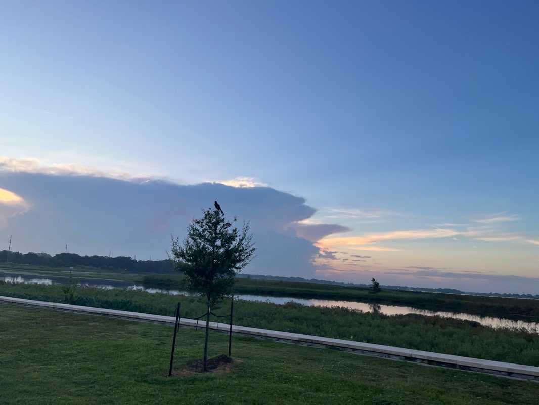walking near me in Kissimmee Lakefront Park in autumn