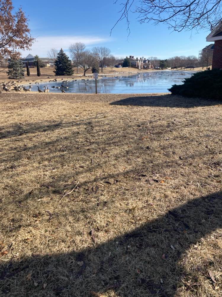 walking near me in Williamsburg Park in winter