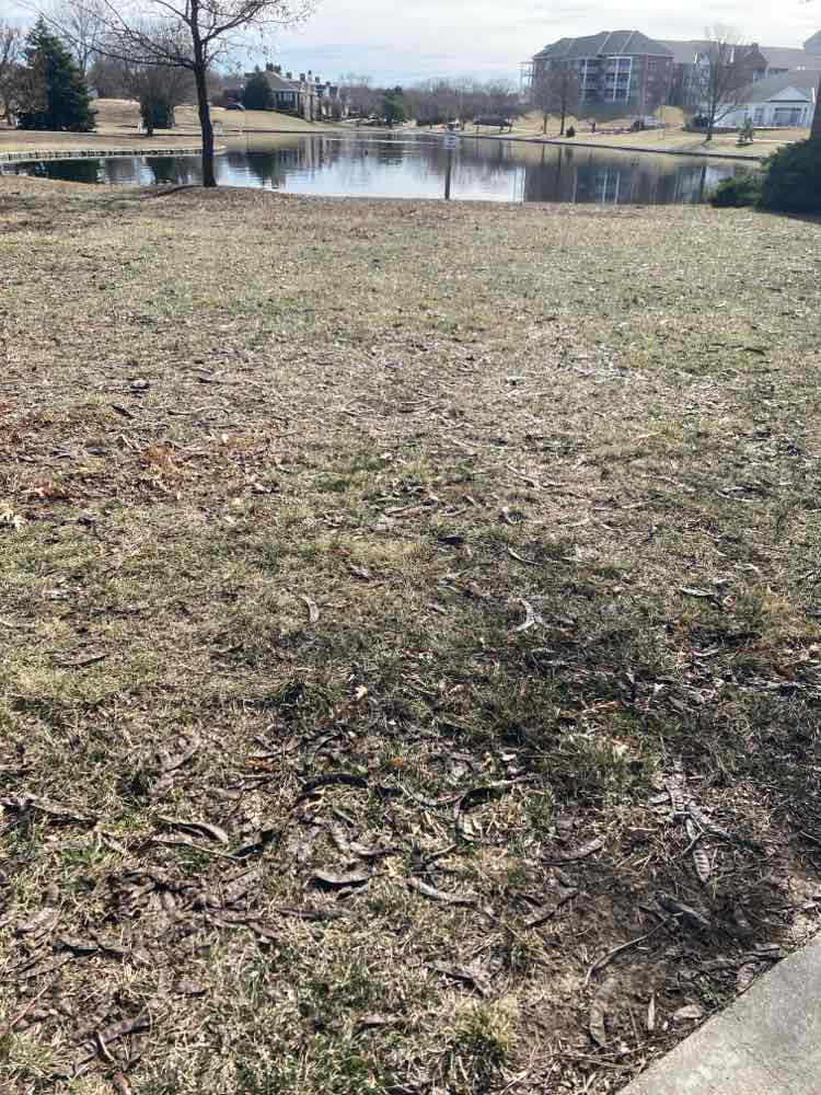 walking near me in Williamsburg Park in spring