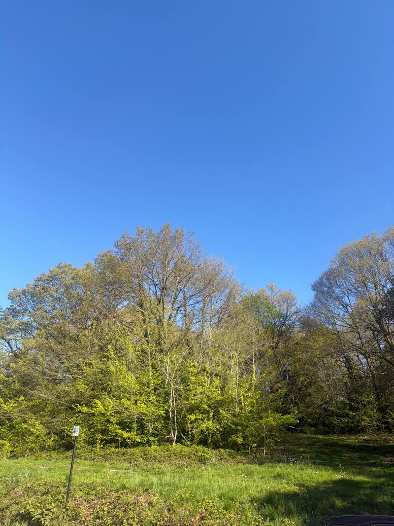 walking near me in Hampstead Heath in spring