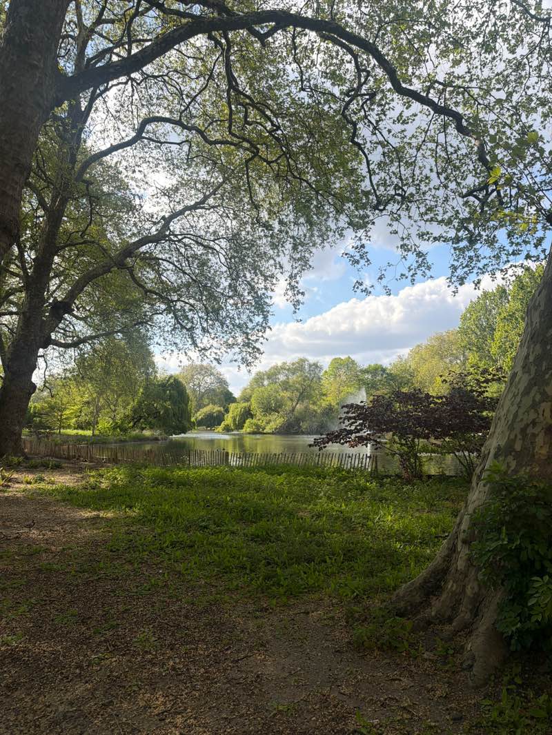 walking near me in St. James's Park in spring