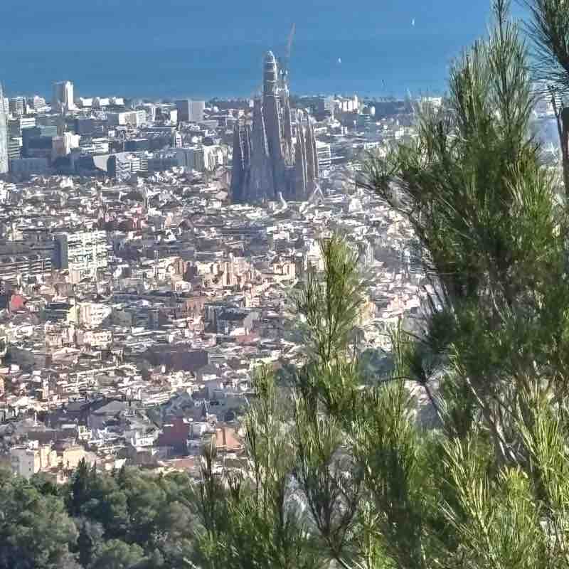 ☀ Phoenix -Valley of the Sun☀ az roadrunner post image