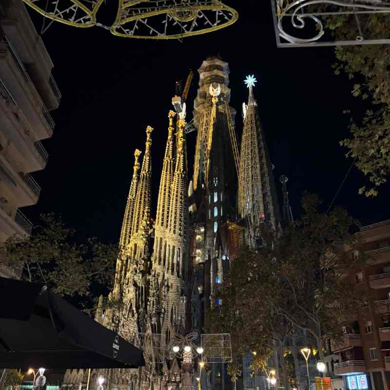 ☀ Phoenix -Valley of the Sun☀ az roadrunner post image