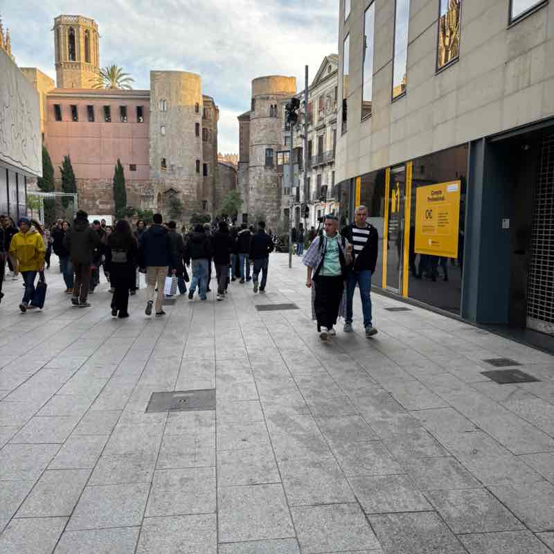 🚶‍♂️KEEP STEPPING🚶🏼‍♀️ az roadrunner post image