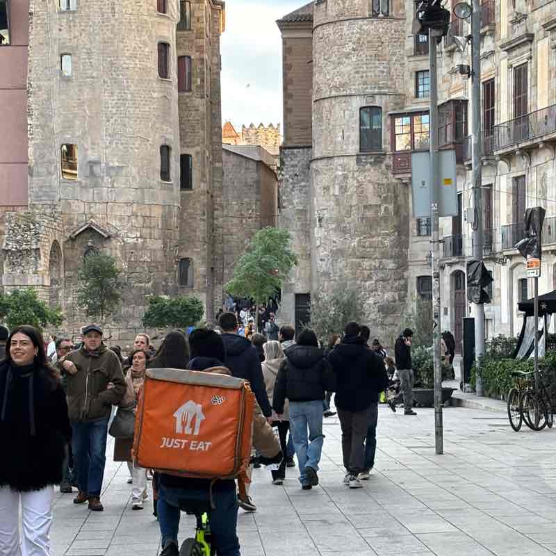 ☀ Phoenix -Valley of the Sun☀ az roadrunner post image