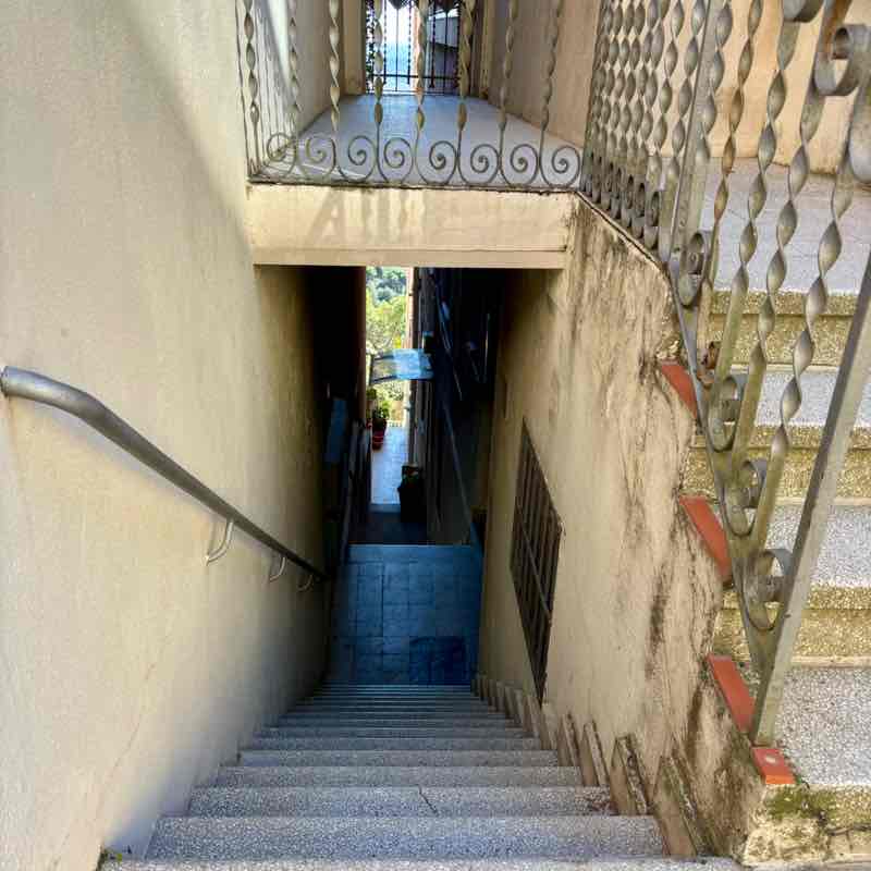 ☀ Phoenix -Valley of the Sun☀ az roadrunner post image