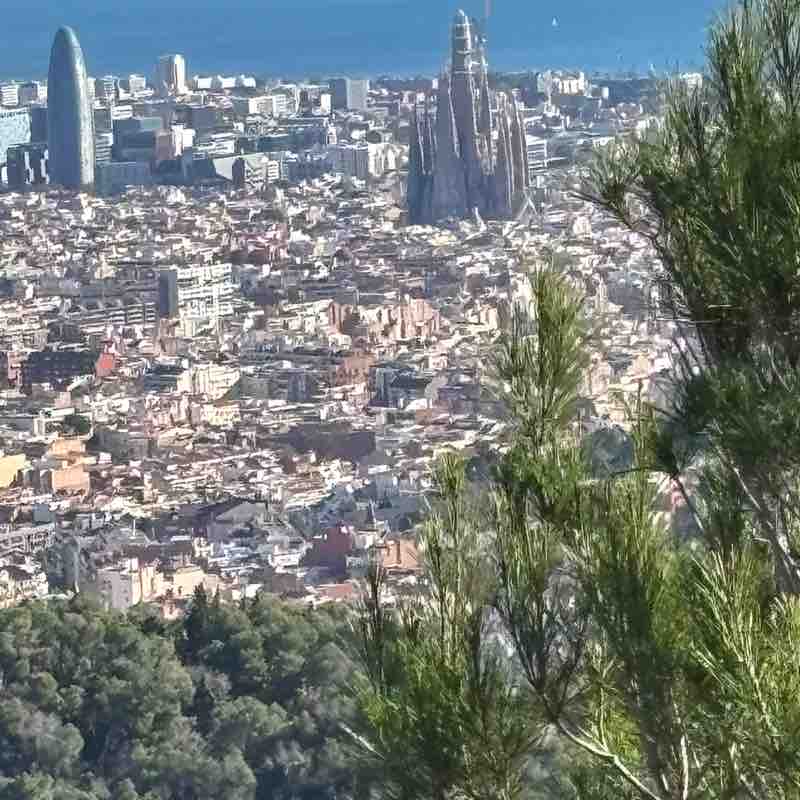 🚶‍♂️KEEP STEPPING🚶🏼‍♀️ az roadrunner post image