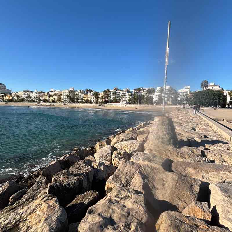 ☀ Phoenix -Valley of the Sun☀ az roadrunner post image