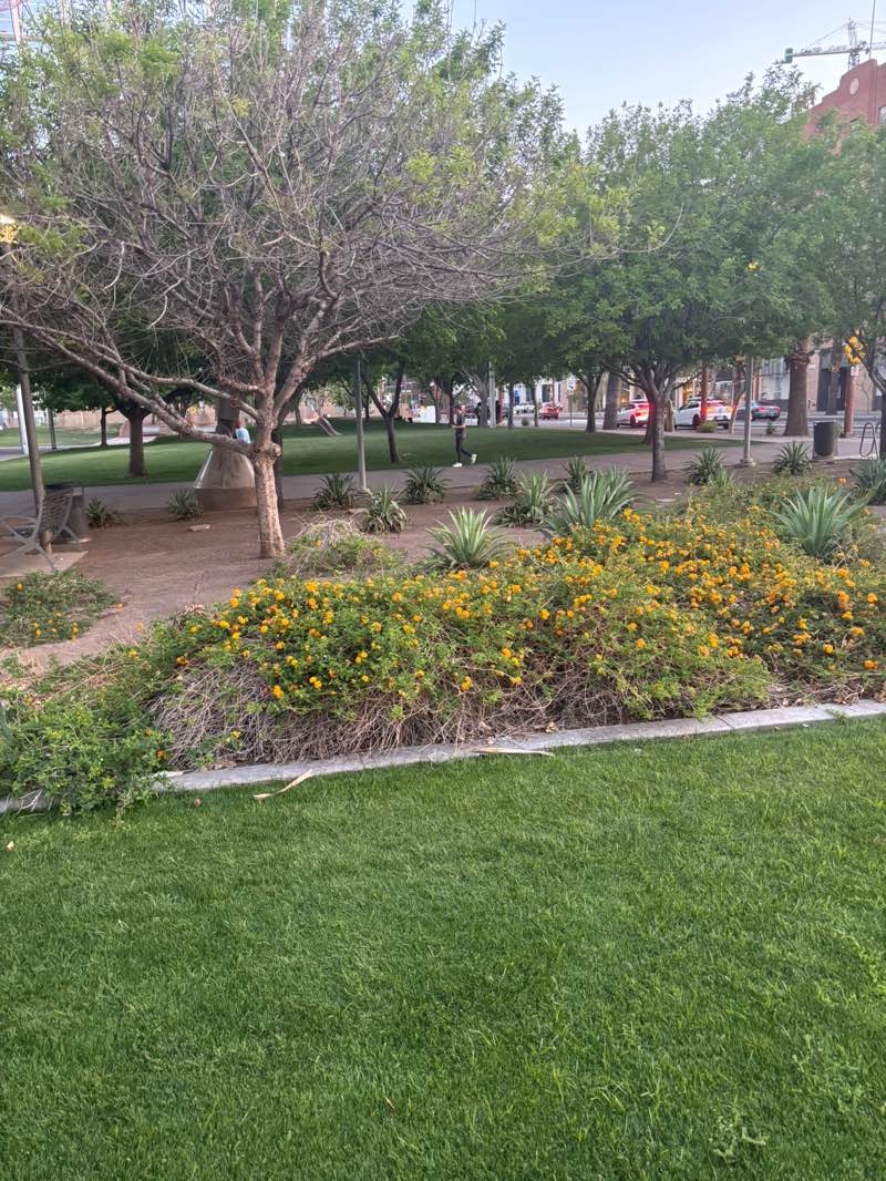walking near me in Civic Space Park in spring