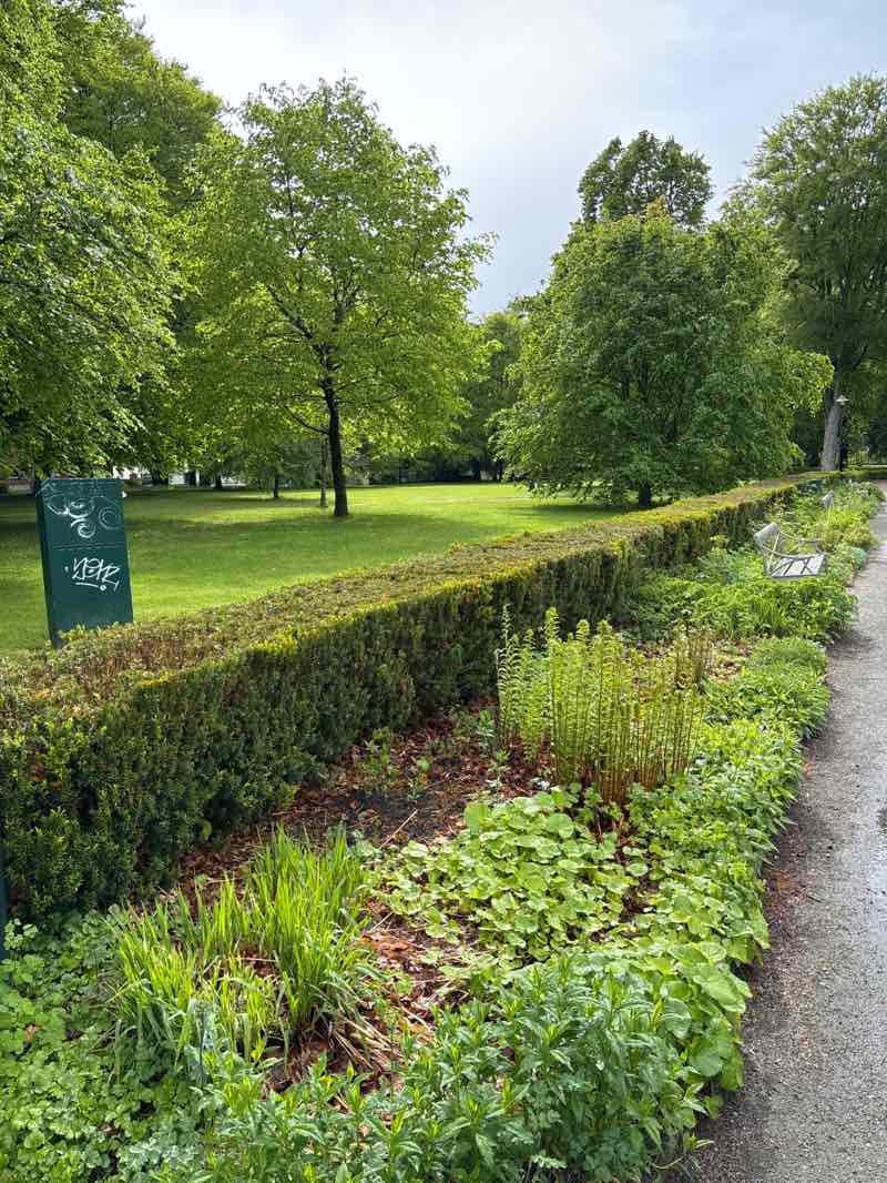 walking near me in Plantaget in spring