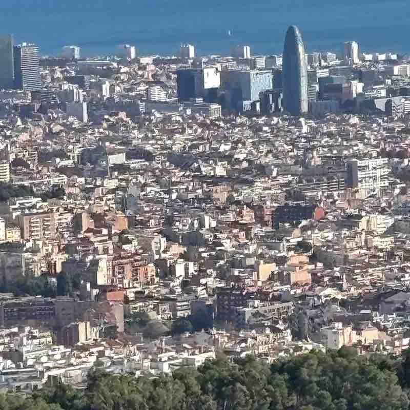 ☀ Phoenix -Valley of the Sun☀ az roadrunner post image