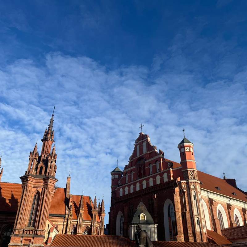 ☀ Phoenix -Valley of the Sun☀ az roadrunner post image