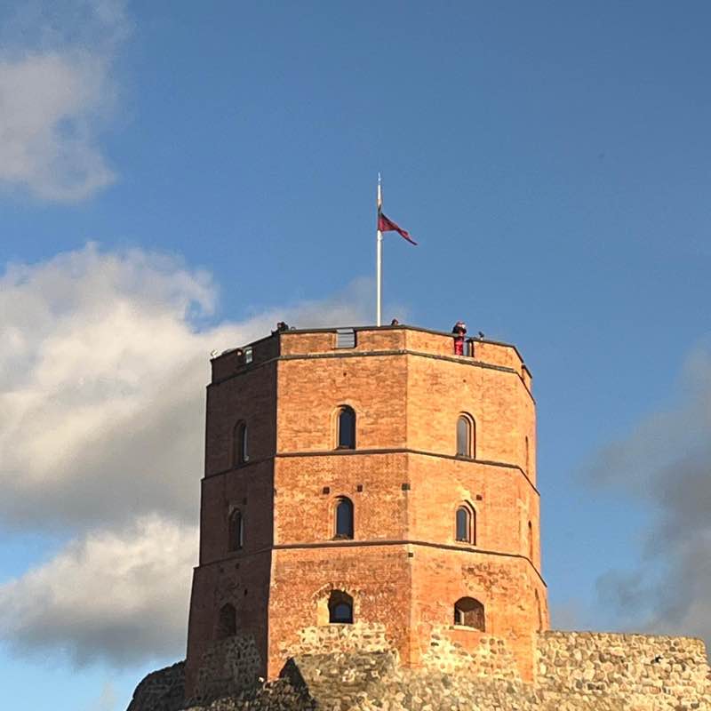 ☀ Phoenix -Valley of the Sun☀ az roadrunner post image