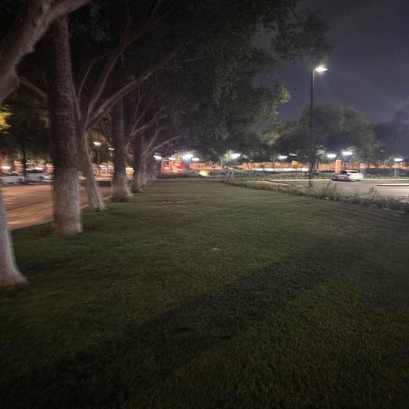 az roadrunner post 1