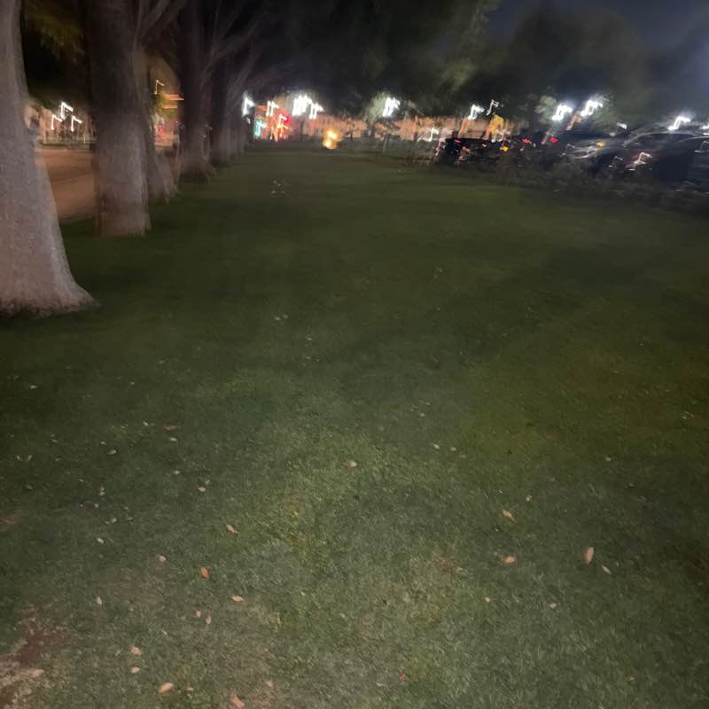 az roadrunner post 1