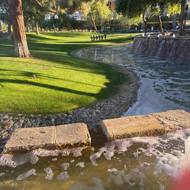 az roadrunner post 1