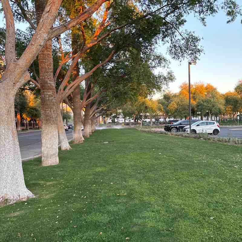 az roadrunner post 1