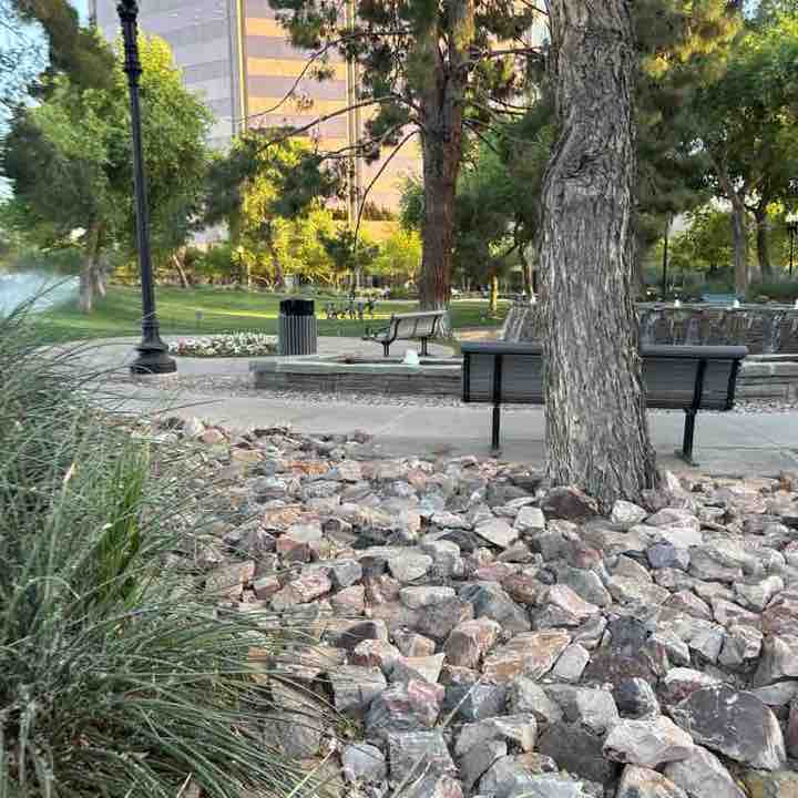 az roadrunner post 1