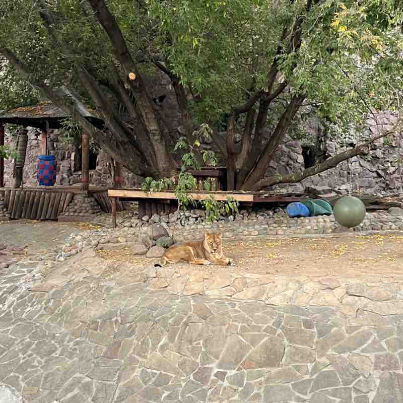 Грек 🇷🇺 post 3